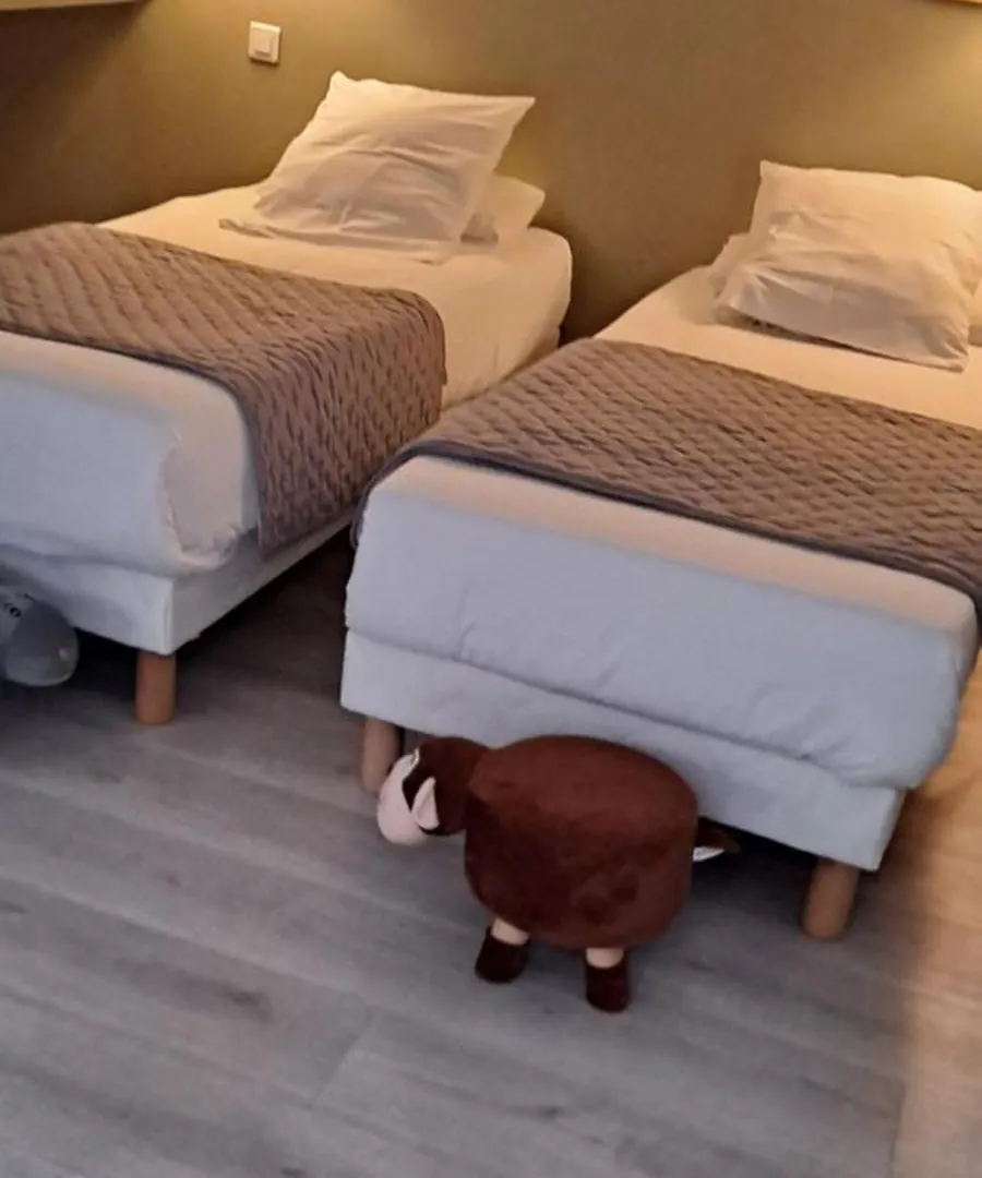 Hotel Du Viaduc Tarascon